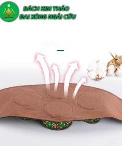 Đai ngải cứu đa chứng năng