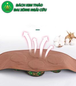 Đai ngải cứu đa chứng năng