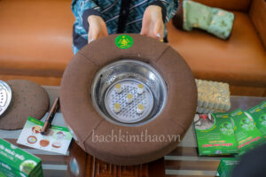 Đệm ngải cứu