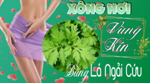 xông lá ngải cứu vùng kín
