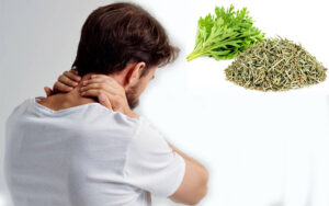 chữa thoái hóa đốt sống cổ bằng ngải cứu