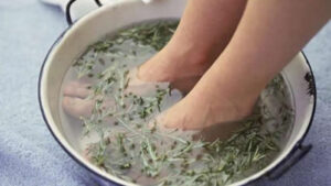 ngâm chân bằng lá ngải cứu có tác dụng gì
