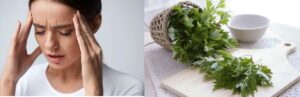 Rau ngải cứu chữa rối loạn tiền đình