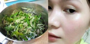 Tại sao nên sử dụng mặt nạ ngải cứu?