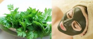 Tác dụng của ngải cứu với da